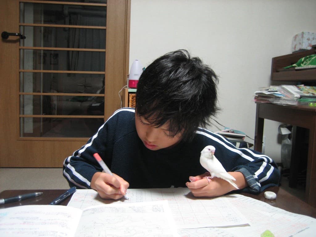 中学校時代(勉強とセキセイインコ)